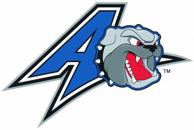 UNC Asheville Bulldogs 2004-Pres Alternate Logo DIY iron on transfer (heat transfer)